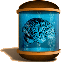 EINSTEIN'S BRAIN