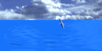 MERMAIDS OFF THE STARBOARD BOW