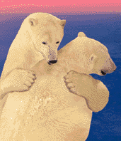 Big Hug